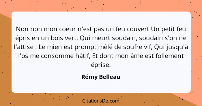 Non non mon coeur n'est pas un feu couvert Un petit feu épris en un bois vert, Qui meurt soudain, soudain s'on ne l'attise : Le mi... - Rémy Belleau