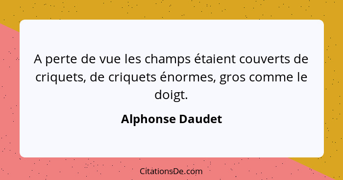 A perte de vue les champs étaient couverts de criquets, de criquets énormes, gros comme le doigt.... - Alphonse Daudet