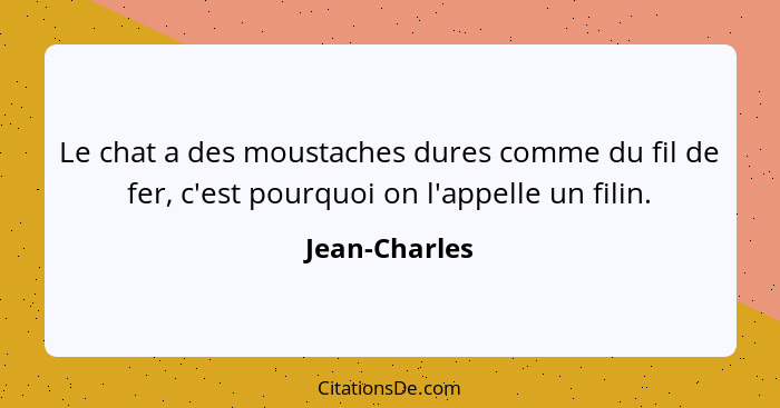 Le chat a des moustaches dures comme du fil de fer, c'est pourquoi on l'appelle un filin.... - Jean-Charles