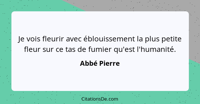 Je vois fleurir avec éblouissement la plus petite fleur sur ce tas de fumier qu'est l'humanité.... - Abbé Pierre