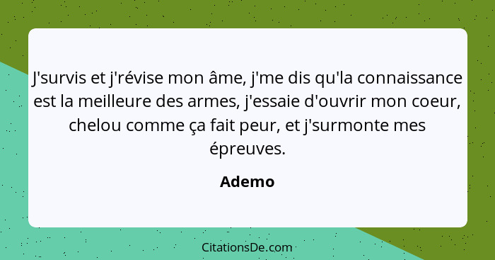 J'survis et j'révise mon âme, j'me dis qu'la connaissance est la meilleure des armes, j'essaie d'ouvrir mon coeur, chelou comme ça fait peur,... - Ademo