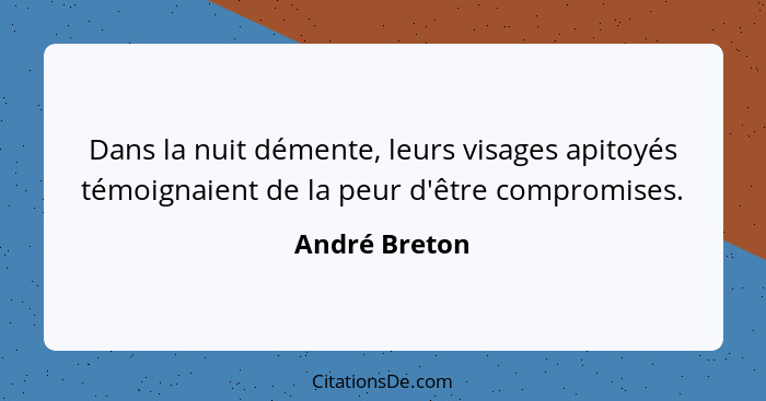 Dans la nuit démente, leurs visages apitoyés témoignaient de la peur d'être compromises.... - André Breton