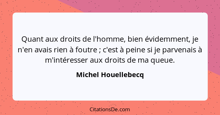 Quant aux droits de l'homme, bien évidemment, je n'en avais rien à foutre ; c'est à peine si je parvenais à m'intéresser aux... - Michel Houellebecq