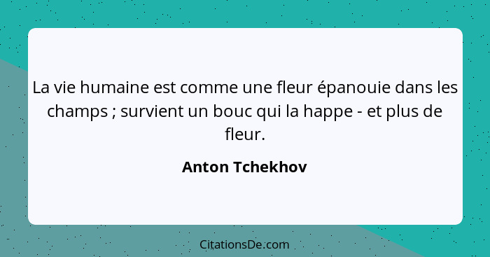 La vie humaine est comme une fleur épanouie dans les champs ; survient un bouc qui la happe - et plus de fleur.... - Anton Tchekhov