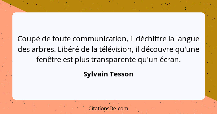 L'écrivain Sylvain Tesson va bientôt sortir de l'hôpital