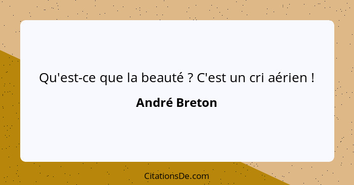 Qu'est-ce que la beauté ? C'est un cri aérien !... - André Breton