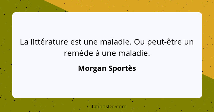 La littérature est une maladie. Ou peut-être un remède à une maladie.... - Morgan Sportès