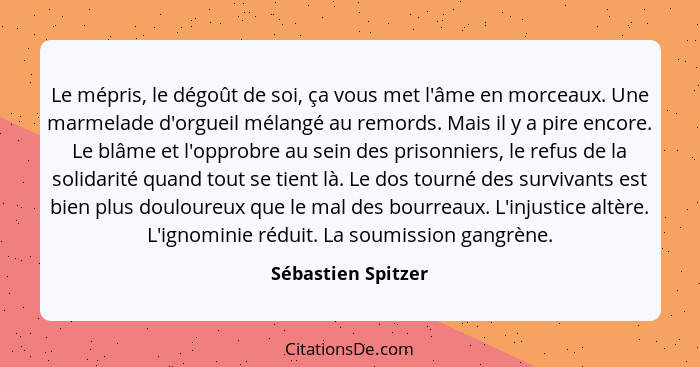 Le mépris, le dégoût de soi, ça vous met l'âme en morceaux. Une marmelade d'orgueil mélangé au remords. Mais il y a pire encore. L... - Sébastien Spitzer