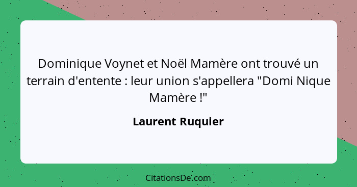 Dominique Voynet et Noël Mamère ont trouvé un terrain d'entente : leur union s'appellera "Domi Nique Mamère !"... - Laurent Ruquier