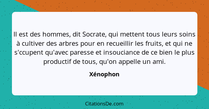 Il est des hommes, dit Socrate, qui mettent tous leurs soins à cultiver des arbres pour en recueillir les fruits, et qui ne s'ccupent qu'av... - Xénophon