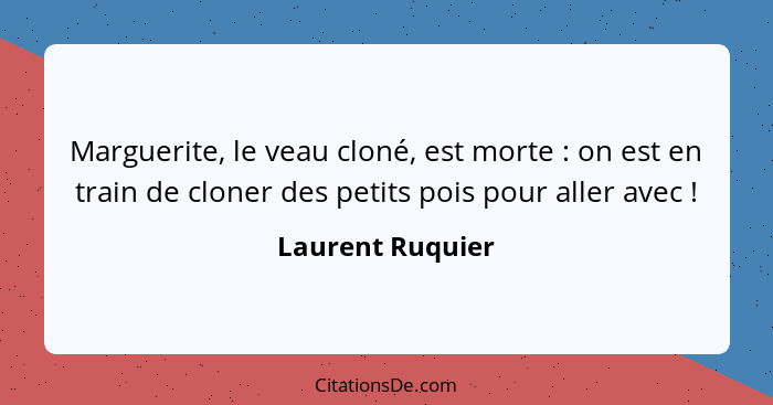 Marguerite, le veau cloné, est morte : on est en train de cloner des petits pois pour aller avec !... - Laurent Ruquier