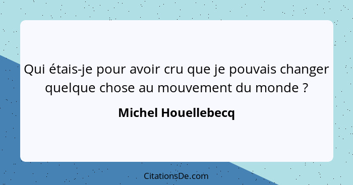 Qui étais-je pour avoir cru que je pouvais changer quelque chose au mouvement du monde ?... - Michel Houellebecq