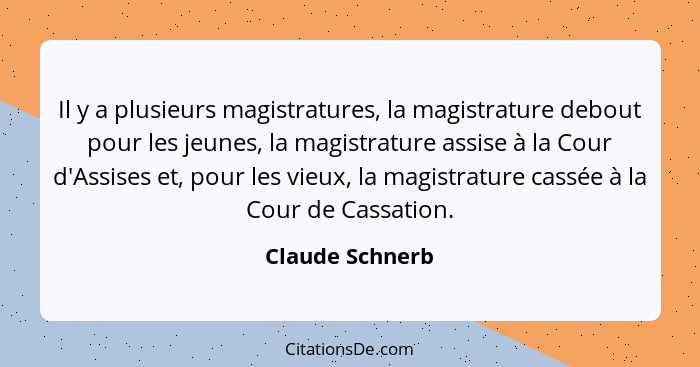 Il y a plusieurs magistratures, la magistrature debout pour les jeunes, la magistrature assise à la Cour d'Assises et, pour les vieux... - Claude Schnerb