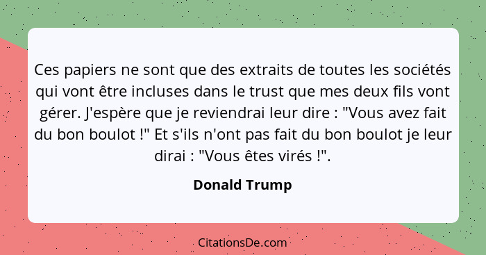 Ces papiers ne sont que des extraits de toutes les sociétés qui vont être incluses dans le trust que mes deux fils vont gérer. J'espère... - Donald Trump