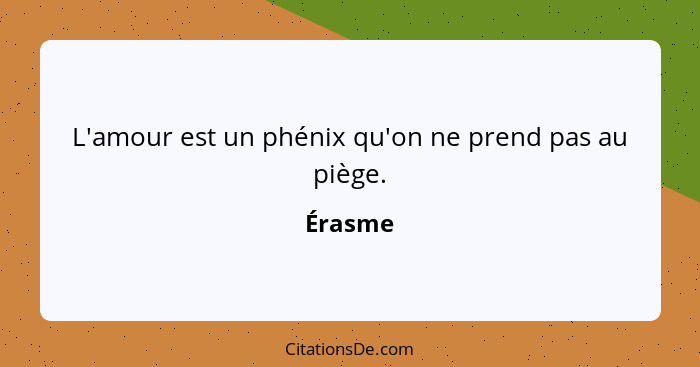 L'amour est un phénix qu'on ne prend pas au piège.... - Érasme