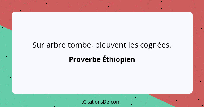 Sur arbre tombé, pleuvent les cognées.... - Proverbe Éthiopien