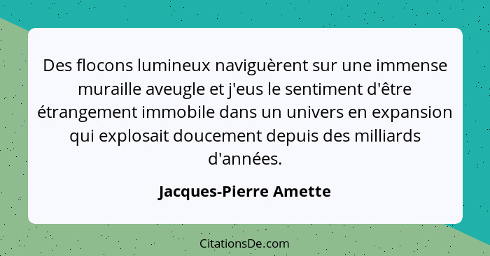 Des flocons lumineux naviguèrent sur une immense muraille aveugle et j'eus le sentiment d'être étrangement immobile dans un un... - Jacques-Pierre Amette