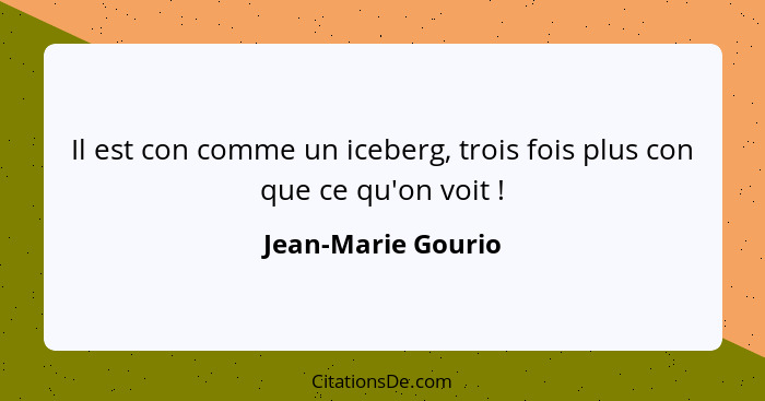 Il est con comme un iceberg, trois fois plus con que ce qu'on voit !... - Jean-Marie Gourio