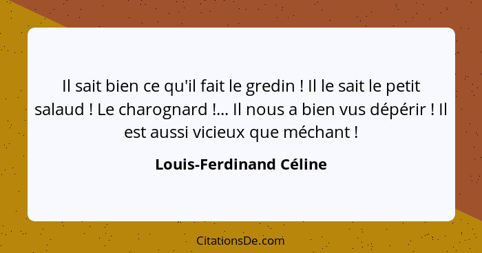 Il sait bien ce qu'il fait le gredin ! Il le sait le petit salaud ! Le charognard !... Il nous a bien vus dépé... - Louis-Ferdinand Céline