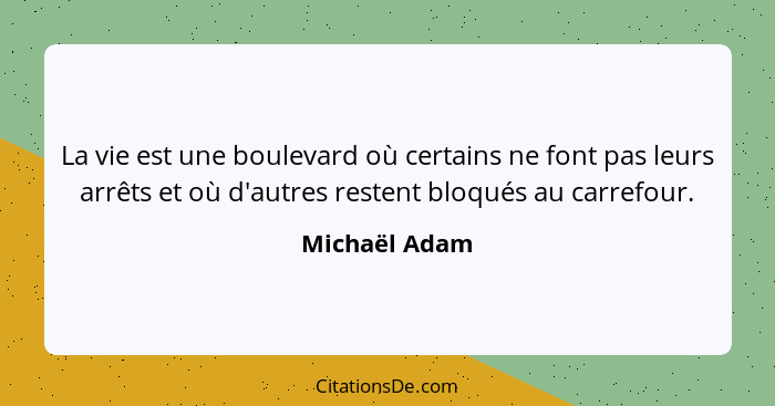 La vie est une boulevard où certains ne font pas leurs arrêts et où d'autres restent bloqués au carrefour.... - Michaël Adam