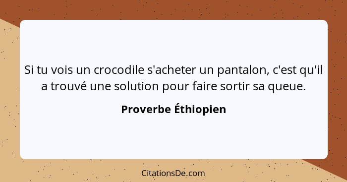 Si tu vois un crocodile s'acheter un pantalon, c'est qu'il a trouvé une solution pour faire sortir sa queue.... - Proverbe Éthiopien