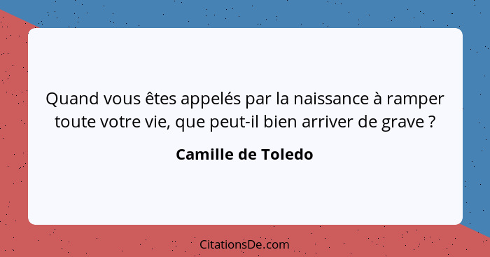 Quand vous êtes appelés par la naissance à ramper toute votre vie, que peut-il bien arriver de grave ?... - Camille de Toledo