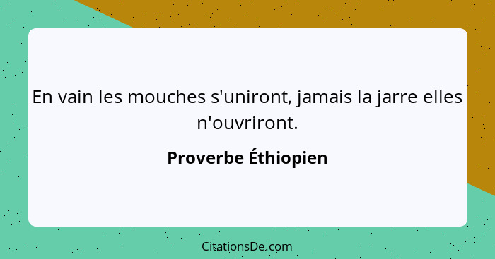 En vain les mouches s'uniront, jamais la jarre elles n'ouvriront.... - Proverbe Éthiopien