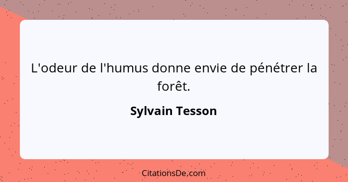 L'odeur de l'humus donne envie de pénétrer la forêt.... - Sylvain Tesson