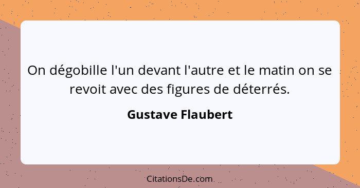 On dégobille l'un devant l'autre et le matin on se revoit avec des figures de déterrés.... - Gustave Flaubert