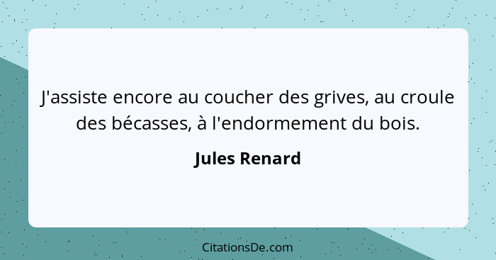 J'assiste encore au coucher des grives, au croule des bécasses, à l'endormement du bois.... - Jules Renard