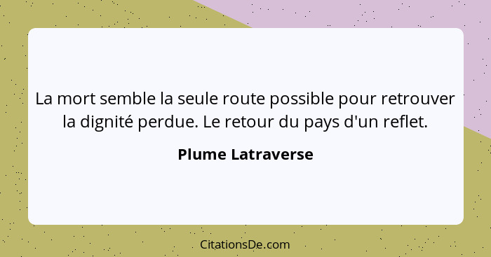 La mort semble la seule route possible pour retrouver la dignité perdue. Le retour du pays d'un reflet.... - Plume Latraverse