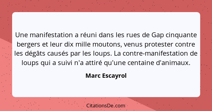 Une manifestation a réuni dans les rues de Gap cinquante bergers et leur dix mille moutons, venus protester contre les dégâts causés p... - Marc Escayrol