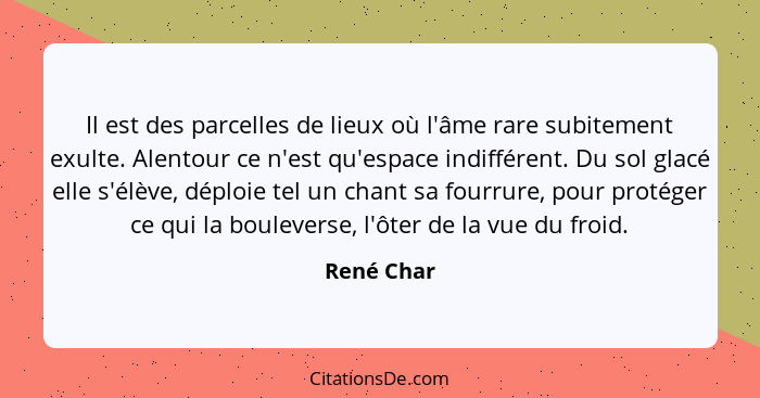 Il est des parcelles de lieux où l'âme rare subitement exulte. Alentour ce n'est qu'espace indifférent. Du sol glacé elle s'élève, déploie... - René Char