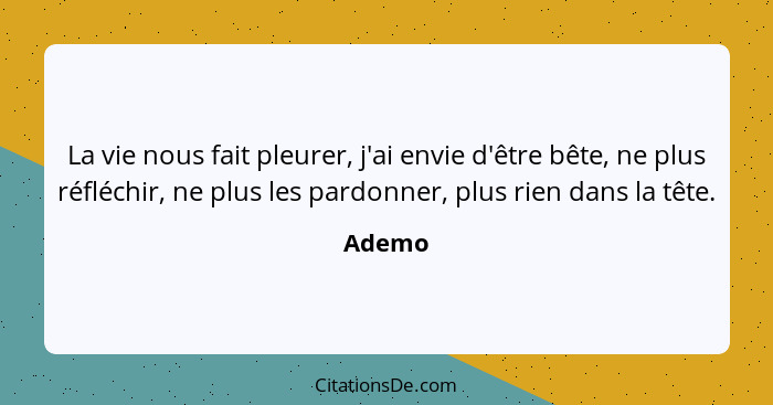 La vie nous fait pleurer, j'ai envie d'être bête, ne plus réfléchir, ne plus les pardonner, plus rien dans la tête.... - Ademo