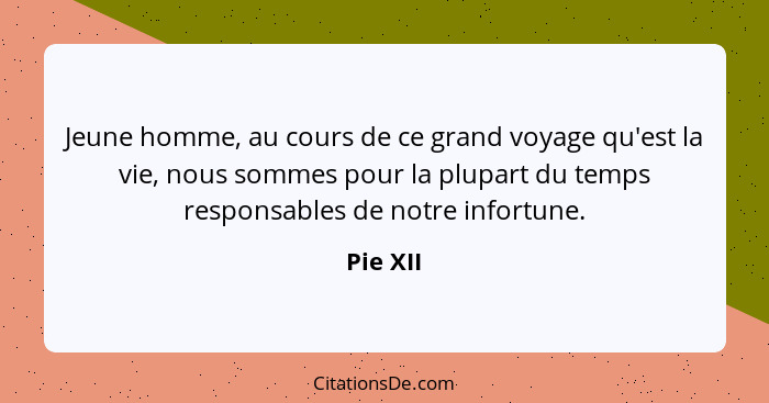 Jeune homme, au cours de ce grand voyage qu'est la vie, nous sommes pour la plupart du temps responsables de notre infortune.... - Pie XII