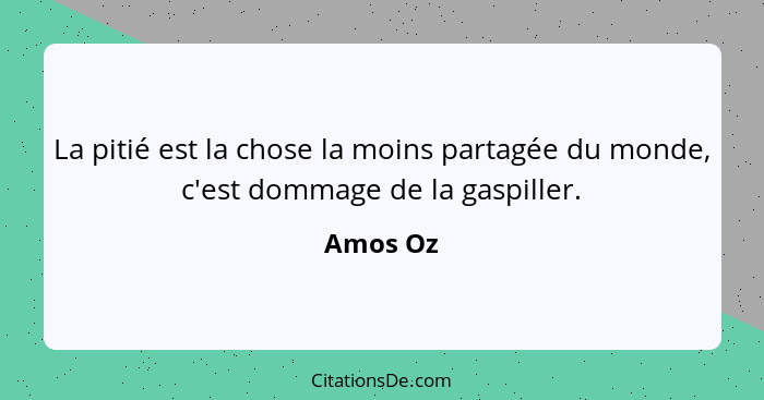 La pitié est la chose la moins partagée du monde, c'est dommage de la gaspiller.... - Amos Oz