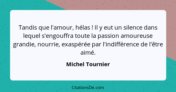 Tandis que l'amour, hélas ! Il y eut un silence dans lequel s'engouffra toute la passion amoureuse grandie, nourrie, exaspérée... - Michel Tournier