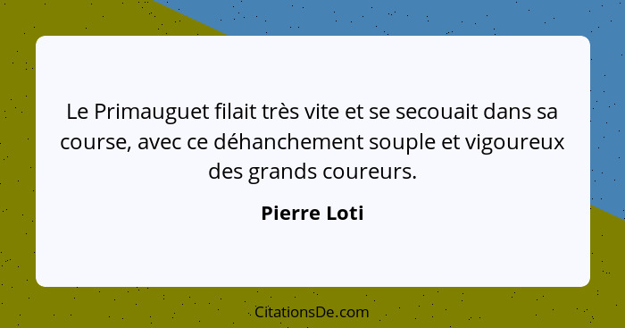 Le Primauguet filait très vite et se secouait dans sa course, avec ce déhanchement souple et vigoureux des grands coureurs.... - Pierre Loti