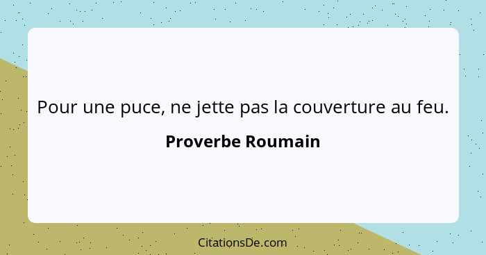 Pour une puce, ne jette pas la couverture au feu.... - Proverbe Roumain