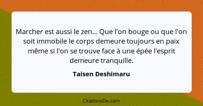 Marcher est aussi le zen... Que l'on bouge ou que l'on soit immobile le corps demeure toujours en paix même si l'on se trouve face... - Taisen Deshimaru