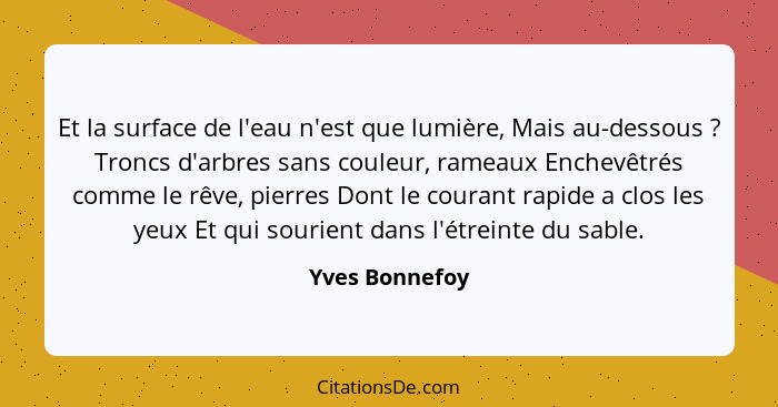 Et la surface de l'eau n'est que lumière, Mais au-dessous ? Troncs d'arbres sans couleur, rameaux Enchevêtrés comme le rêve, pier... - Yves Bonnefoy