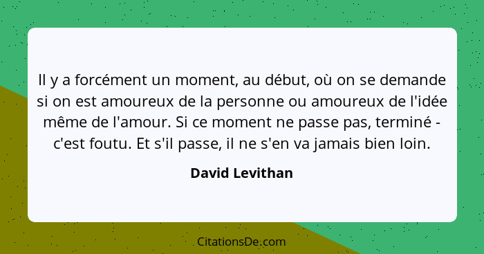 Il y a forcément un moment, au début, où on se demande si on est amoureux de la personne ou amoureux de l'idée même de l'amour. Si ce... - David Levithan