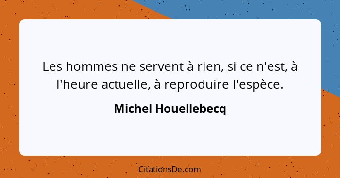 Les hommes ne servent à rien, si ce n'est, à l'heure actuelle, à reproduire l'espèce.... - Michel Houellebecq