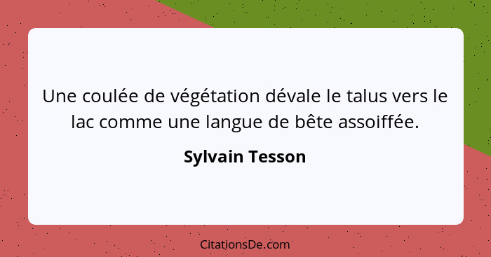 Une coulée de végétation dévale le talus vers le lac comme une langue de bête assoiffée.... - Sylvain Tesson