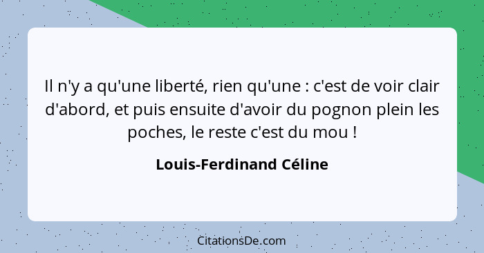 Il n'y a qu'une liberté, rien qu'une : c'est de voir clair d'abord, et puis ensuite d'avoir du pognon plein les poches,... - Louis-Ferdinand Céline