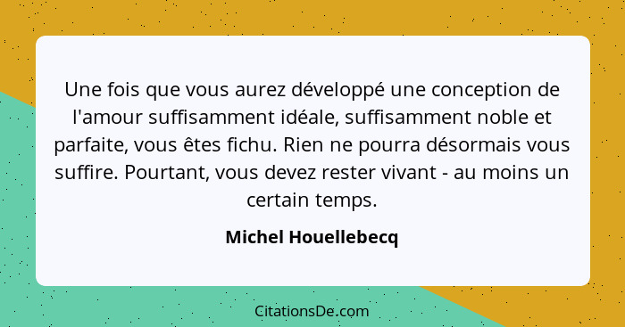 Une fois que vous aurez développé une conception de l'amour suffisamment idéale, suffisamment noble et parfaite, vous êtes fichu.... - Michel Houellebecq