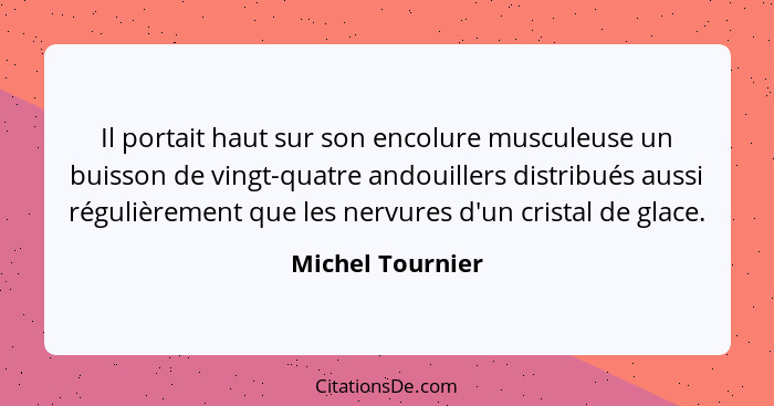 Il portait haut sur son encolure musculeuse un buisson de vingt-quatre andouillers distribués aussi régulièrement que les nervures d... - Michel Tournier