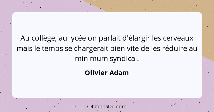 Au collège, au lycée on parlait d'élargir les cerveaux mais le temps se chargerait bien vite de les réduire au minimum syndical.... - Olivier Adam