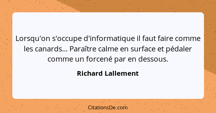 Lorsqu'on s'occupe d'informatique il faut faire comme les canards... Paraître calme en surface et pédaler comme un forcené par en... - Richard Lallement