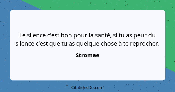 Le silence c'est bon pour la santé, si tu as peur du silence c'est que tu as quelque chose à te reprocher.... - Stromae